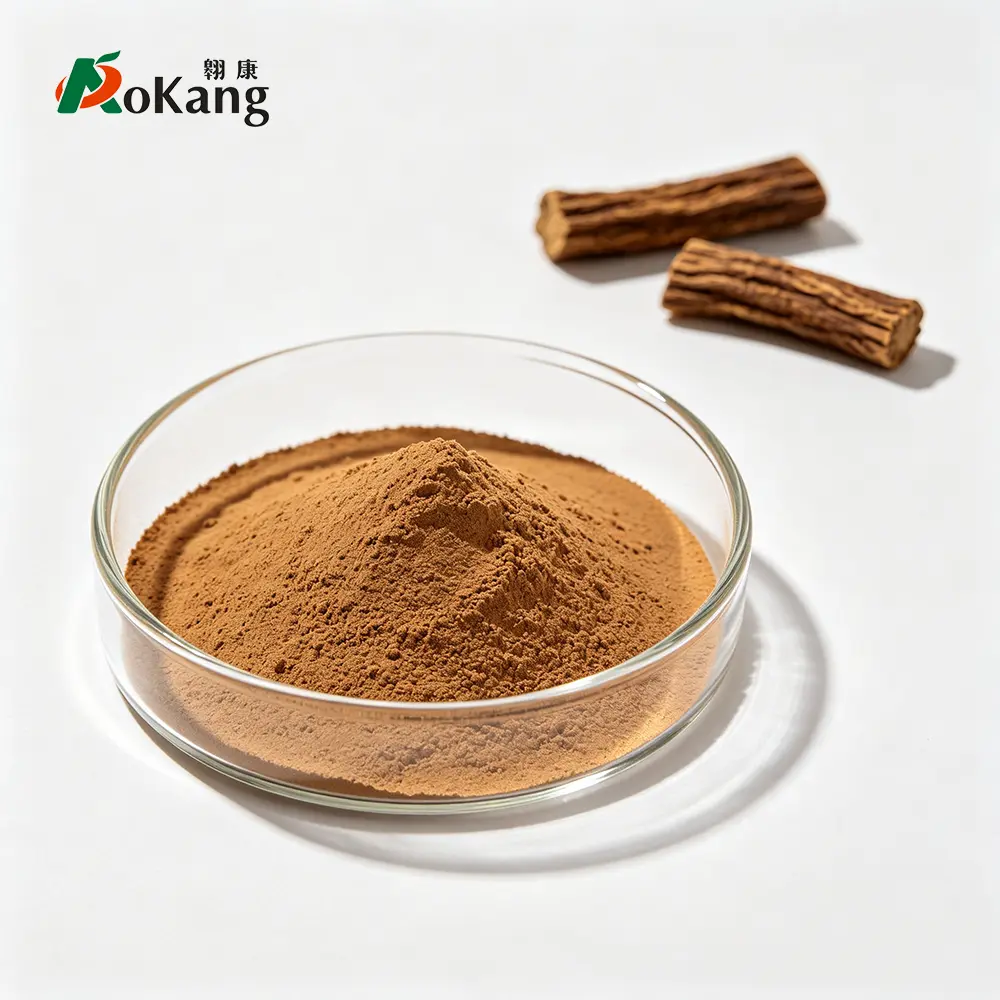 Dandelion Extract Powder